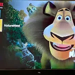 Naturenest
